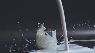 تفسير رؤية اللبن في الحلم شرب اللبن في المنام