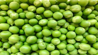 تفسير البازلاء في الحلم قطف بازلاء خضراء في المنام