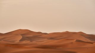 تفسير رؤية اللون البني في الحلم اللون البني في المنام