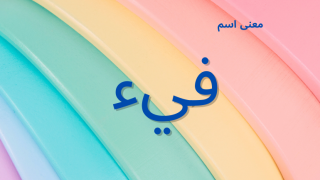 معنى اسم فيء