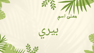 معنى اسم بيري