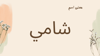 معنى اسم شامي