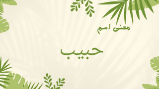 معنى اسم حبيب