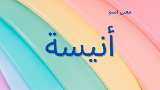 معنى اسم أنيسة