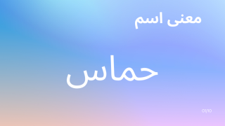 معنى اسم حماس
