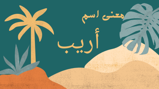 معنى اسم أريب
