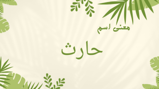معنى اسم حارث