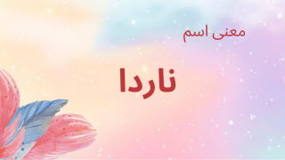 معنى اسم ناردا