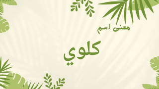 معنى اسم كلوي