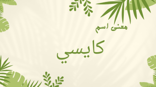 معنى اسم كايسي