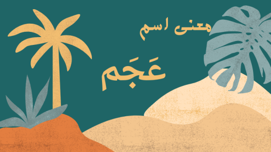 معنى اسم عجم
