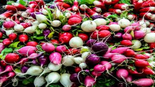 فوائد اللفت واضراره