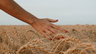 رؤية الأظافر الصناعية في المنام وحلم تركيب الأظافر
