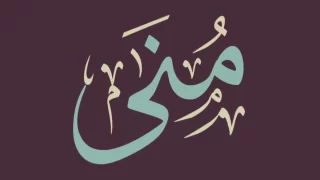 تفسير رؤيا امرأة اسمها منى